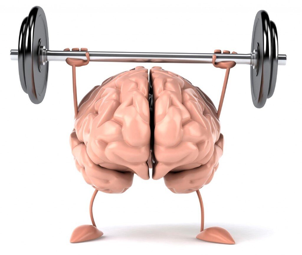 Neuroplasticity and Brain Exercises